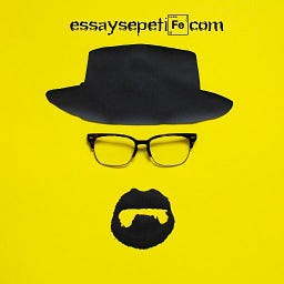 Essay Sepeti