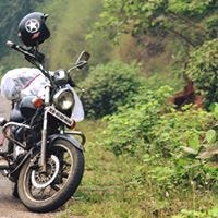 Bhavesh Wankhade Patil