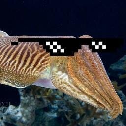 Crypto Cuttlefish