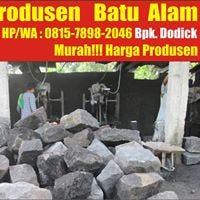 SupplierBatu AlamAndesit
