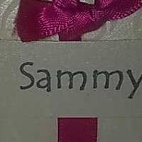 Sammy Adewumi