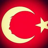 Arif Oktay