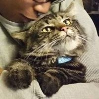 Justin Gunabe Cretesio