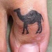 Margarit Camel