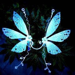 Wicked Wings