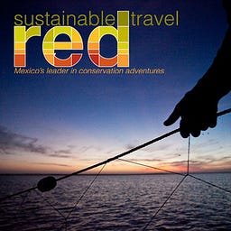 RED Travel Mexico