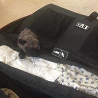 TravelLamb Batson