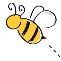 BeBeez