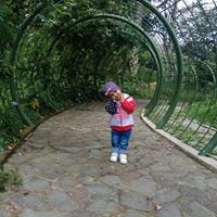 Dedi Indira Ani