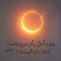 Yumna Ali