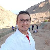Mohammed Mahmoud Mansour