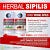 obat sipilis ampuh
