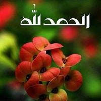 Lahbib Lahbib