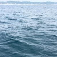 Cynthia Magnan Hutchinson