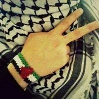 Amr Mohamed