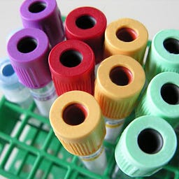 Phlebotomy Training Specialists