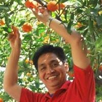 Adolfo Marvin