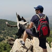 Hacene Seghier