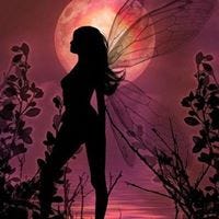 Leigh Amrein