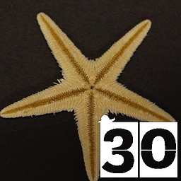 Biological Photography &