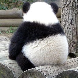 huan_huang