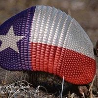 Shelli Borth Childers