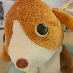 山本動物病院