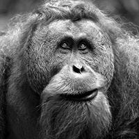 Hugo Raúl González Liquidano