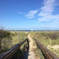 Angela Powell Sheppard