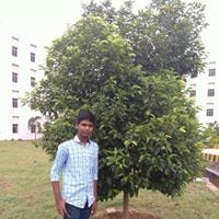 Raju NookaRaju