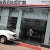 Shree Automotive