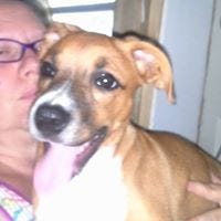 LaRue Holly Allen