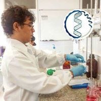 Pedro Victor Morais Batista