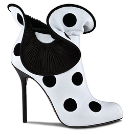 The Daily Shoe