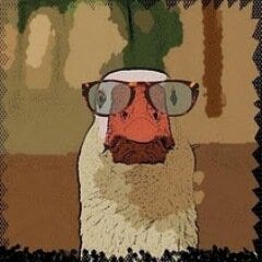 Dr. Goose