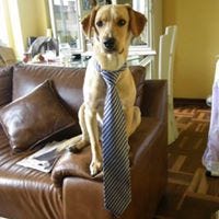 Piere Sánchez La Rosa