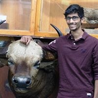 Sumeet Jariya