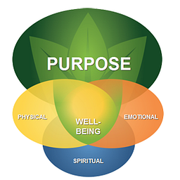 Wellness In Season