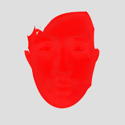 Steve Kim