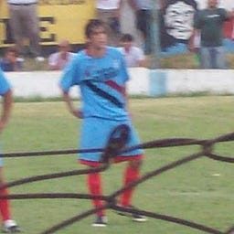 PIPA