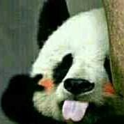 大一疲软