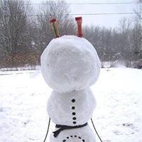 Cherri Wiggins Putman