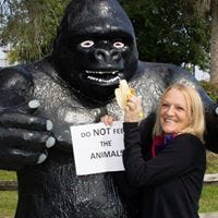 Cheri Tishman