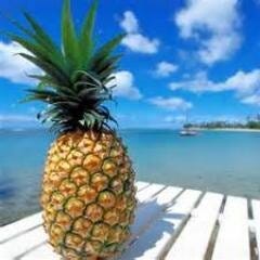 Vacations Perfected