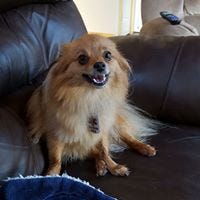 Stacey Johnston-Gleason