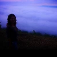 Sudarat Srich