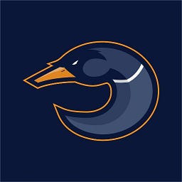 Team Derby Ducks