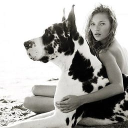 Haley Wiseman