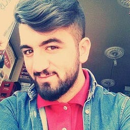 Ferdi Atay