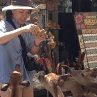 Haruka Seto